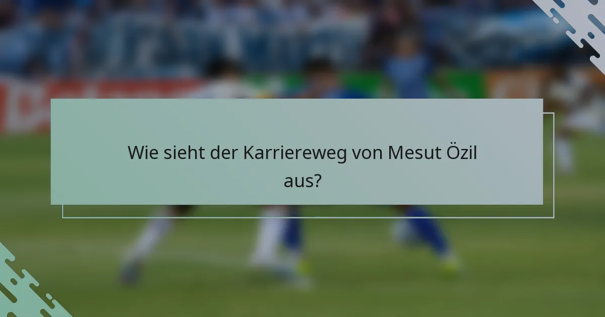 Wie sieht der Karriereweg von Mesut Özil aus?